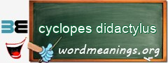 WordMeaning blackboard for cyclopes didactylus